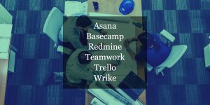 Project management