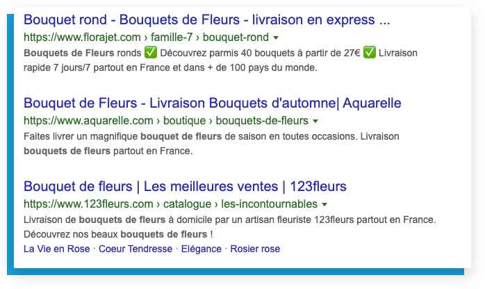 Google Ads : Requête Google